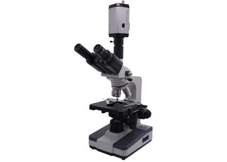 Biologico del CCD 40X 0,65 Live Blood Analysis Microscope Digital di WF10X video