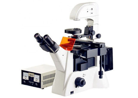 Microscopio invertito Edu Science Microscope 1200x 20X del laboratorio di biologia di fluorescenza