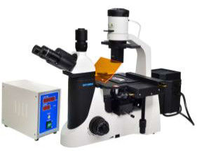 Microscopio fluorescente del laboratorio di biologia di Trinocular 40X 1000X del microscopio di Epi LED