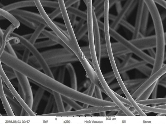 EBS di EDS massima di risoluzione del microscopio elettronico a scansione 150000X di ingrandimento 5nm