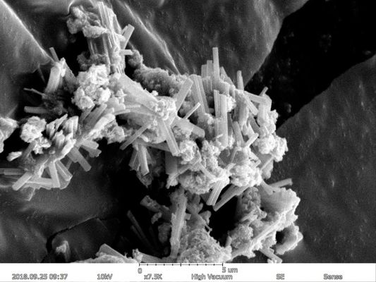EBS di EDS massima di risoluzione del microscopio elettronico a scansione 150000X di ingrandimento 5nm