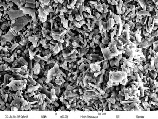 EBS di EDS massima di risoluzione del microscopio elettronico a scansione 150000X di ingrandimento 5nm