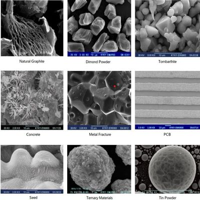 Risoluzione EBSD EBSD del microscopio elettronico a scansione 8X-300,000X 3-6nm