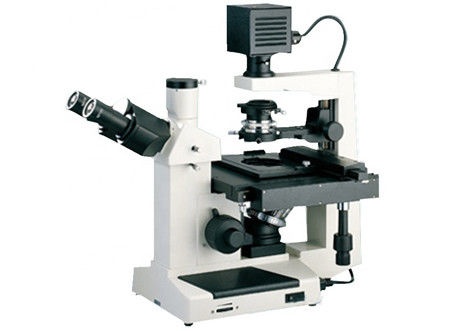lampada dell'alogeno di Trinocular 10X/0.2 6V 20W del microscopio invertito della coltura cellulare 40X/0.6