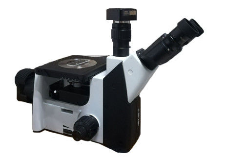 50X-1000X ha invertito il microscopio ottico WF metallurgico PL10X Trinocular