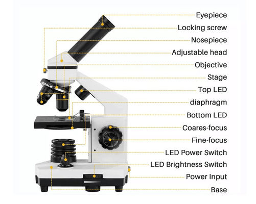 ODM monoculare di Biological Microscope 640X dello studente di Drawtube