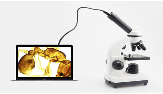 ODM monoculare di Biological Microscope 640X dello studente di Drawtube