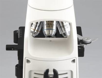 microscopio binoculare biologico 1000x con l'oculare di 20mm