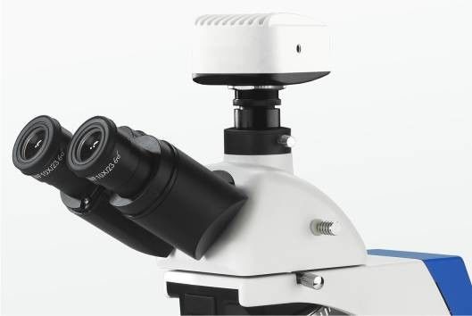 Posizione di polarizzazione integrata del microscopio biologico 4 del laboratorio del campo scuro
