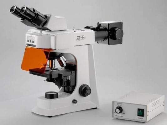 Microscopio biologico del laboratorio bianco di Trinocular con la fase meccanica