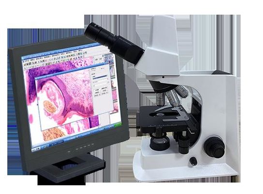 Microscopio biologico del laboratorio bianco di Trinocular con la fase meccanica