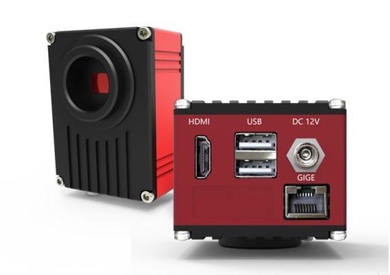Macchina fotografica digitale del microscopio di HDMI 60FPS con l'interfaccia di rete di gigabit