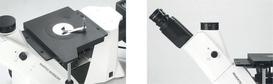 50X 1000X ha invertito l'osservazione di polarizzazione del giacimento scuro del microscopio metallurgico
