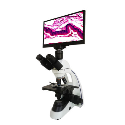 Microscopio LCD composto per il globulo vivente e l'analisi morta del globulo