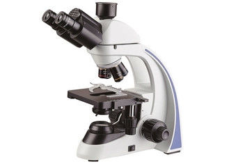 Microscopio LCD composto per il globulo vivente e l'analisi morta del globulo