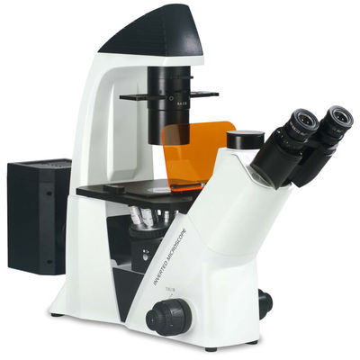 40X-400X ha invertito il microscopio ottico WF10X 22mm per l'osservazione e la coltivazione delle cellule