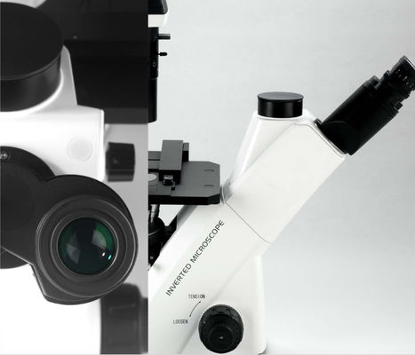 40X-400X ha invertito il microscopio ottico WF10X 22mm per l'osservazione e la coltivazione delle cellule